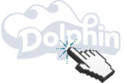 Dolphin Pool Cleaner